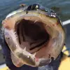 John Pare - @john.pare1 - TikTok