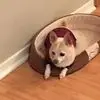 John Parent - @john.parent - TikTok