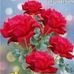 John Parker - Facebook