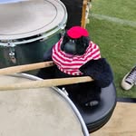 John Parker - @john_parker_percussion - Instagram