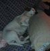 John Parkman - Facebook