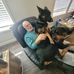 John Parramore - Facebook