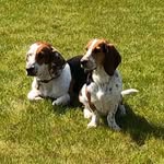 John Parsons - @johnparsons - Instagram