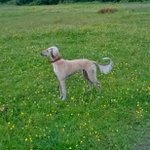 John Parsonage - @johnp1999 - Instagram