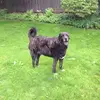 Joan Partyka - @user129771926 - TikTok