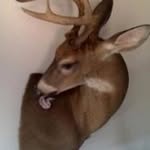 john - @john_parvin - Instagram