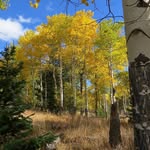 John Pask - @john.pask.1 - Instagram