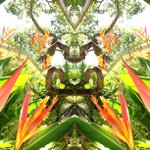 John Pasley - @devstringsparkling - Instagram
