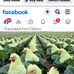 John Brielle M. Patang - Facebook