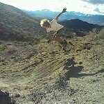 John Patchell - @johno.b.good - Instagram