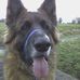 John P Patmore - Facebook