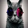 John_Patterson - @john_patterson - TikTok