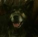 John Patton - Facebook