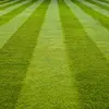 johnpavelko - @johnpavelko - TikTok