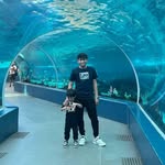 Peter John Paver - @pjpaver.exe - Instagram