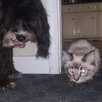 Jon Pavich - @jon.pavich - Instagram