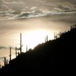 John Pavlick - @jmpavlick - Instagram