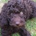 John Paynter - Facebook