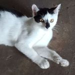 Johnny Peavler - @peavlerjohnny - Instagram