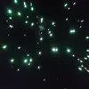johnisahpeay - @sactythepop8 - TikTok