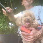 John Peck - @dadandnellie - Instagram