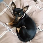 John Pedigo - @john.pedigo.908 - Instagram