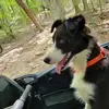 Johnny Pedigo - @johnny.pedigo3 - TikTok