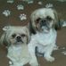 John Paul Pekala - Facebook
