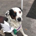John D. Pellerin - @john.d.pellerin.3 - Instagram