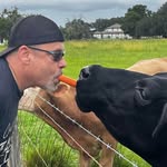 John Peltier - @peltier4329 - Instagram