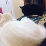 John&Pepe - @john_penelope - Instagram