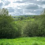 John Pennington - @stubbsbridgewoodland - Instagram
