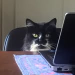John Pepper - @johnpepper - Instagram