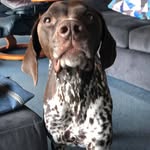 John Pepper - @johnjanpepper - Instagram
