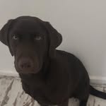 john.percy - @john.percy1new - Instagram
