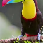 John Perez - Facebook