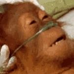 Juan Perez - @john_perez - Instagram