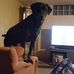 John Perfetto - Facebook
