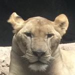 John Perkinson - @john_perko_793 - Instagram