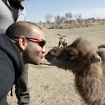 John Perna - @thebigpern - Instagram