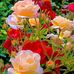 John Perrine - Facebook