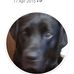 John Peterkin - Facebook