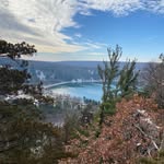 John Peterman - @john_peterman25 - Instagram
