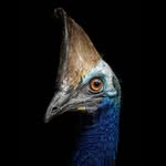John Peters - @johnpeters_photography - Instagram