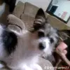 John Peters - @john.peters33 - TikTok