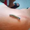 John A. Petersson - @john.a..petersson - TikTok