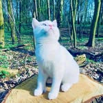 John petersson - @petersson8112 - Instagram