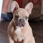 John Petersson - @johnpetersson2011 - Instagram