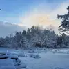 johnpetkus32 - @johnpetkus32 - TikTok