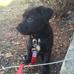 Johnpetrafesajr - @johnpetrafesajr - Instagram